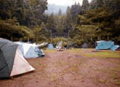 Thumbnail for version as of 17:28, 12 September 2024