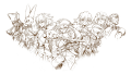 Thumbnail for version as of 17:53, 14 May 2025