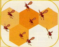 Bee Assault
